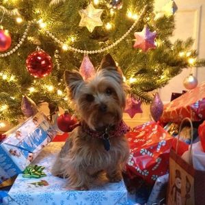 Meet your Posher, Denise